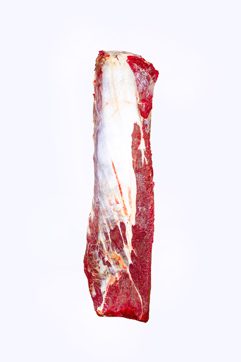 H.roštěná býk, jal. bal.