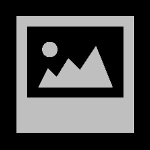 V.kostra - bouraná