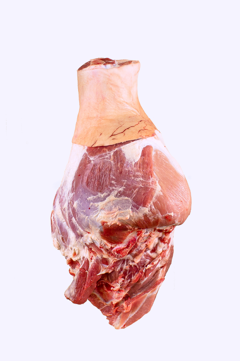 V.kýta SK BKU a kolenem